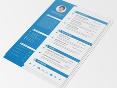 Basic Resume - Free Clean Resume Template for Any Purpose