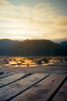 peace #forest #serene #ground #water #sky #deck #pier #planks #wood #trees #sunlight #lake #peace #view #peaceful