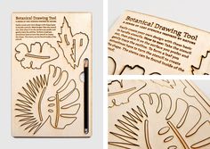 Botanical Drawing Tool by Niermala B. Timmers www.niermalatimmers.com #lasercut #botanical #plant #leaves #flowers #shapes #sketch #stencil