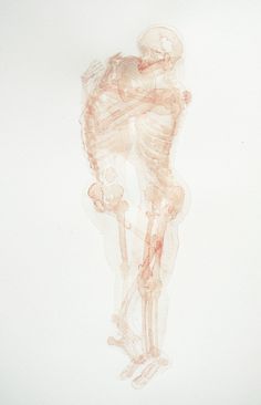 Fernanda Uribe abrazo #skeleton #anatomy #watercolour #illustration #hug