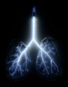 Anatomical Neon: Blown Glass Human Organs Containing Neon Lights by Jessica Lloyd-Jones | Colossal #sculpture #glass #lungs #light #neon