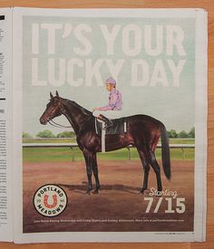 Portland Meadows: Brand ID, Collateral #horse #manufacturing #branding #offical #the #company #race