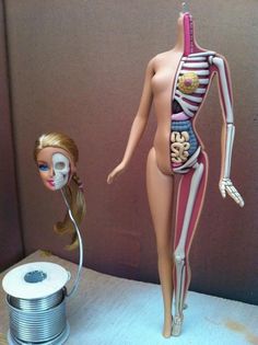 Barbie Gets Dissected, Reveals Her Anatomy DesignTAXI.com #model #jason #anatomy #freeny #barbie