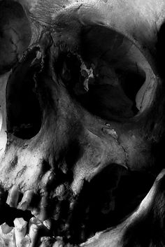 ryanmatthewcohn:Ryan Matthew's Collection. Photo by Sergio Royzen. #skull