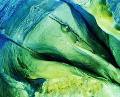 The Marlin 2009- Not water, no fish- but a photograph of a geological formation! #gallery #miller #j #coleman #alex #chance #aleatoric #volborth #art #accidental