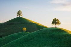 Hobbiton: Beautiful Swiss Countryside by Martin Rak