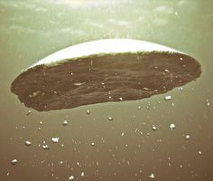 by javiy #bubble #air #underwater