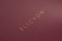 Elicyon branding deluxe luxury beaty corporate design stationery design two times elliott london UK mindsparkle mag logo logotype red borde