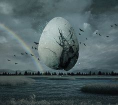 wolfmother06 #egg #print #birds #rainbow #wolfmother