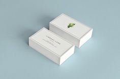 Dribbble - grande.png by Tony Lane #cards #white #business #floral