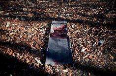 Afterlife by Natalie Keyssar #inspiration #photography #art
