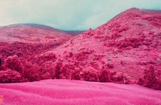 Sean Lynch | PICDIT #pink #photo #landscape #photography #art #surreal