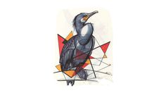 Illustrations by Okan Akgöl | LLGD.net #ink #red #markers #bird #illustration #gray #drawing