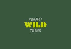 Project Wild Thing – Fieldwork #mark #design #graphic #type #word #logo #typography