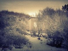 DANIEL JOURNAL #nature #photography #winter
