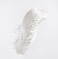 The Sixteenth Division #white #wig #black #hair #and