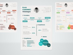 Free Infographic Resume Template in PSD File Format