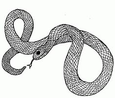 Colbrace.gif (GIF Image, 487 × 418 pixels) #drawing #snake