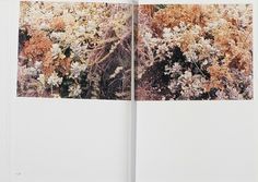 In Our Nature by Takashi Homma | OEN #nature #takashi #book #homma