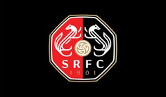 Stade Rennais Football Club fan rebrand by Clément Tondoux #soccer #football #octagon #crest #badge #celtic #knots #stoats #triskelion #ball