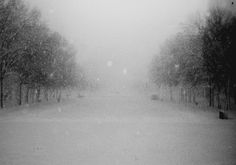 Snowpocalypse: Now : H/34 : Creative Work, By Alex Koplin #white #snow #black #photography #and
