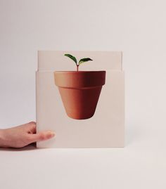 The Plant Whisperers Society - Annual Report on Behance #ar