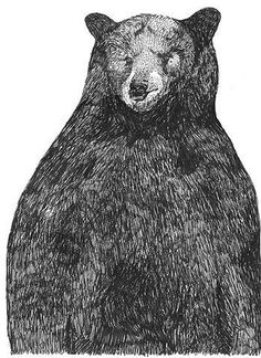 Art and Illustrations. / BEER #draw #bear #line #black