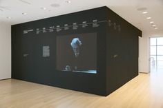 Frank Lloyd Wright at 150 - Damien Saatdjian