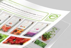 Seracon | WAHBA MEDIA | Graphic Design | Web Development | Branding #catalog #print #eco #green