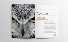 Whitespace Advisory brochure #brochure #spead #print #design