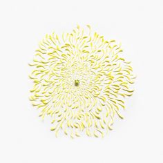 Qi Wei | iGNANT.de #explosion #design #neatly #photography #flower #things #organized