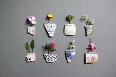 fragments | Flickr - Photo Sharing! #fragments #plants #ceramic #flowers #trifles
