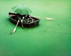 Mimicry by Maurits Giesen and Ilse Leenders #inspiration #photography #colorful