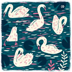 Owen Davey on Behance #swans #water #color #birds #illustration #animals