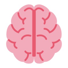 See more icon inspiration related to brain, human brain, medical, body organ, body part, people and healthcare and medical on Flaticon.