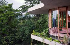 Tropical house nestled amongst treetops