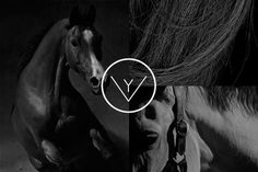 Y. V. — by Fon Kumuro #horses #branding #identity #kumuro #fon