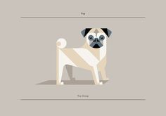 lumadessa_canine_06 #lumadessa #illustration #can #dog