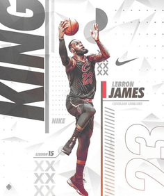 LeBron James Pro File Cleveland Cavaliers Premium Black-and