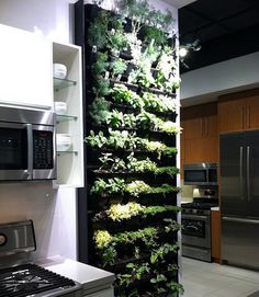 33 Amazing Ideas That Will Make Your House Awesome | Bored Panda #interior #garden #urban #herb
