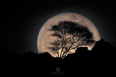 In The Moonlight! #moonlight #shadow