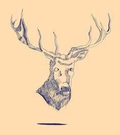 Dead Deer #antlers #deer #venison #stag #illustration #floating #minimal #dead #surreal #animal #weird #sketch