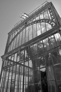 Königliche Gewächshäuser_ Avenue du Parc Royal, 1020 Bruxelles, Belgien PHOTOGRAPHIE (C) [ catrin mackowski ]