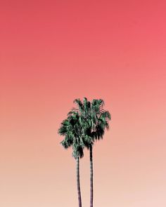 Colorful and Aesthetic Minimalist Photography by Aryton Page