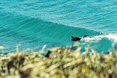 Blog - Dane Peterson Photography #george #surfing #dane #greenough #peterson