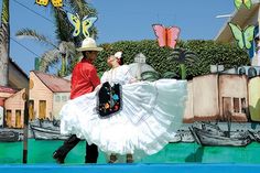 Report Comment #music #tradition #dance #veracruz