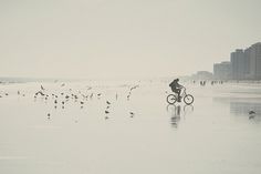 Quando tutto scolora nel mattino di una domenica e siamo felici | Flickr - Photo Sharing! #photo #beach #birds #bike