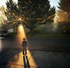 Flickr Finds No. 36 #tree #child #photography #sunset #light