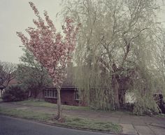 Sprung — Tom Hull — Photography #tom #hull #photography #sprung #spring