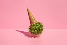 palomarincon #icecream #cone #cactus